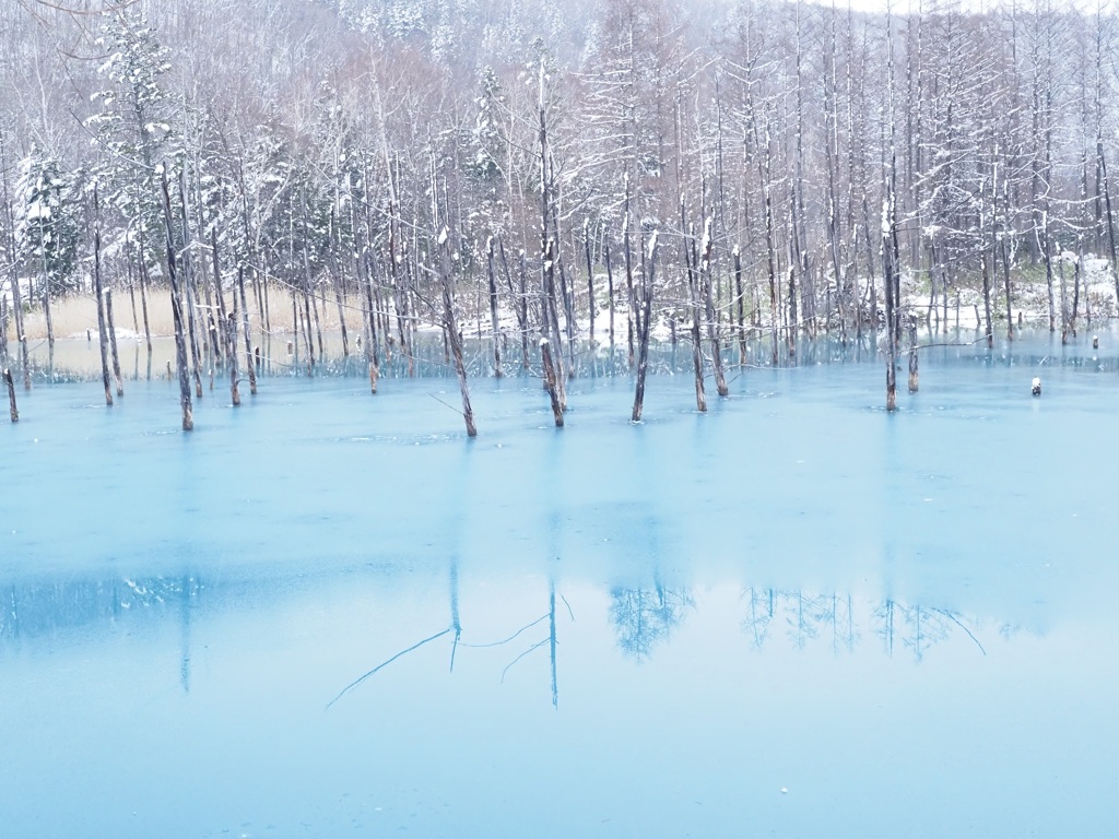 青薄氷