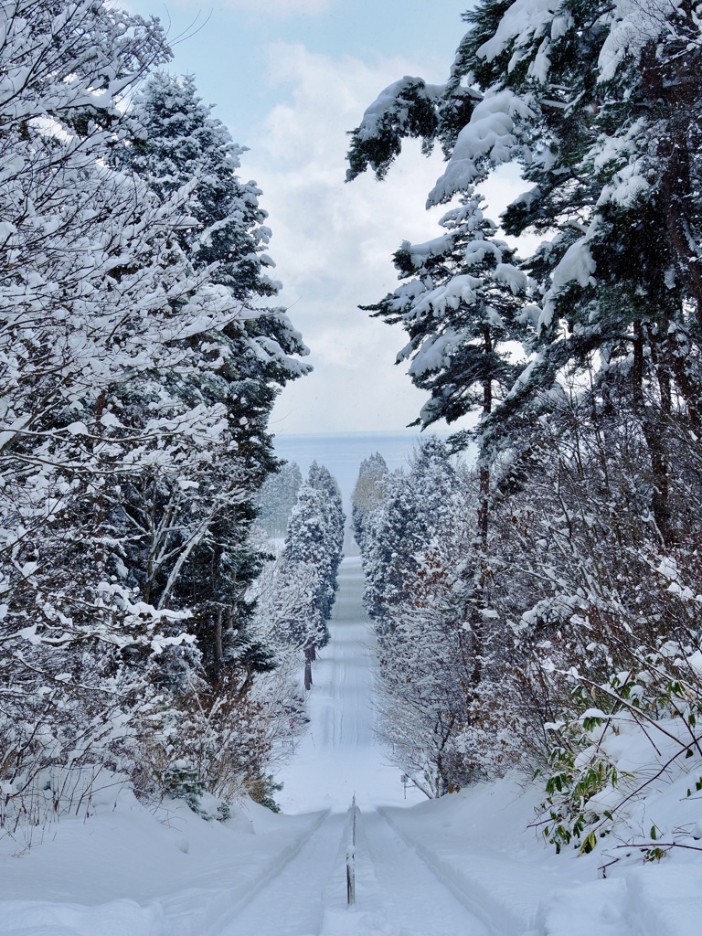 ローマからの帰り道