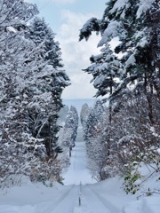 ローマからの帰り道