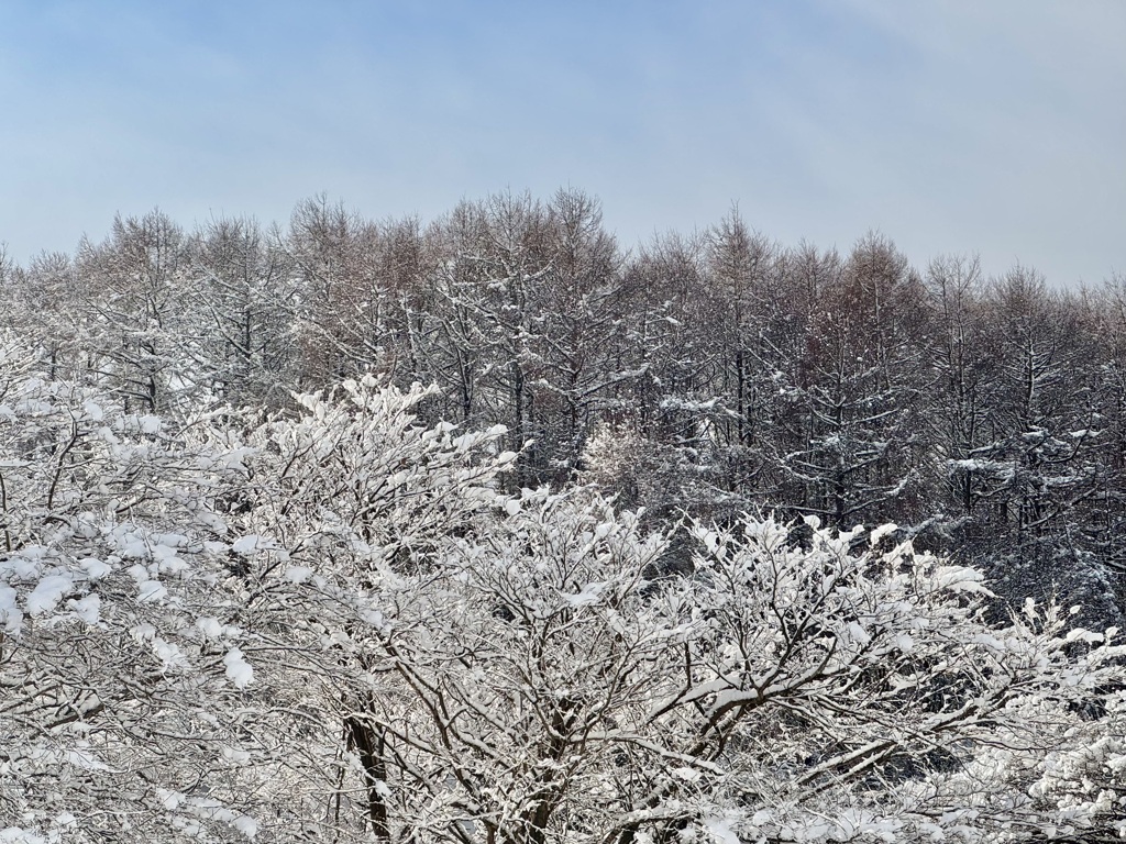 モノクロの世界がやってきました