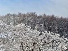 モノクロの世界がやってきました