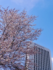 まだまだ楽しめます