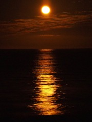 海から昇る月