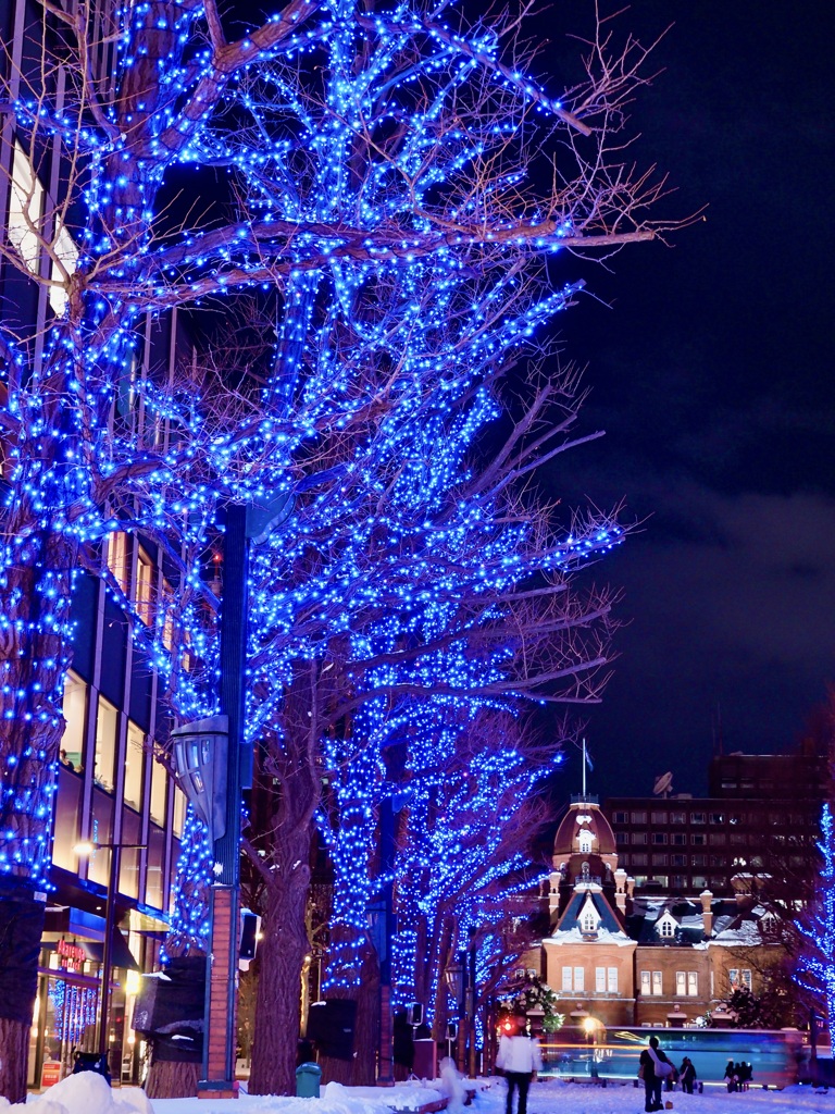 赤レンガとイルミ