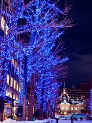 赤レンガとイルミ