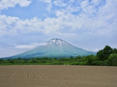 やっと現れた蝦夷富士