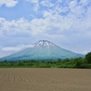 やっと現れた蝦夷富士
