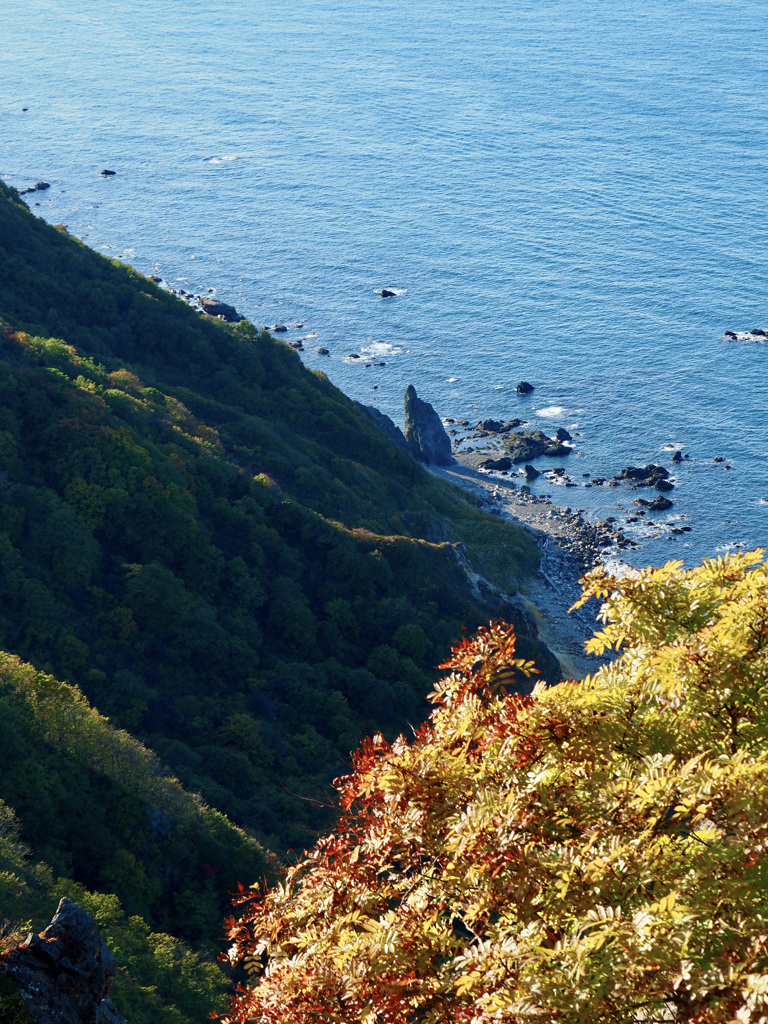 紅葉越しの青い海