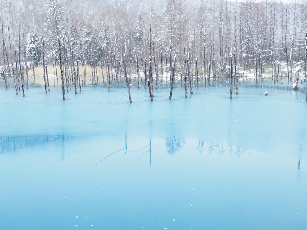 氷始めの青い池