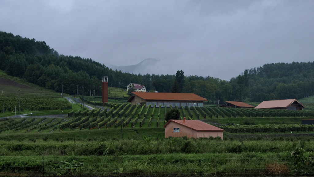 雨の中のカンパーナ