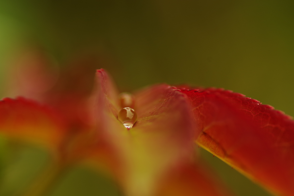 水滴