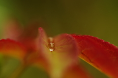 水滴