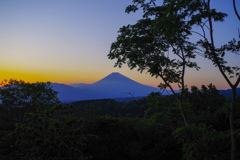 IMGP8139