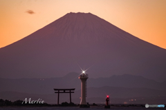 葉山富士