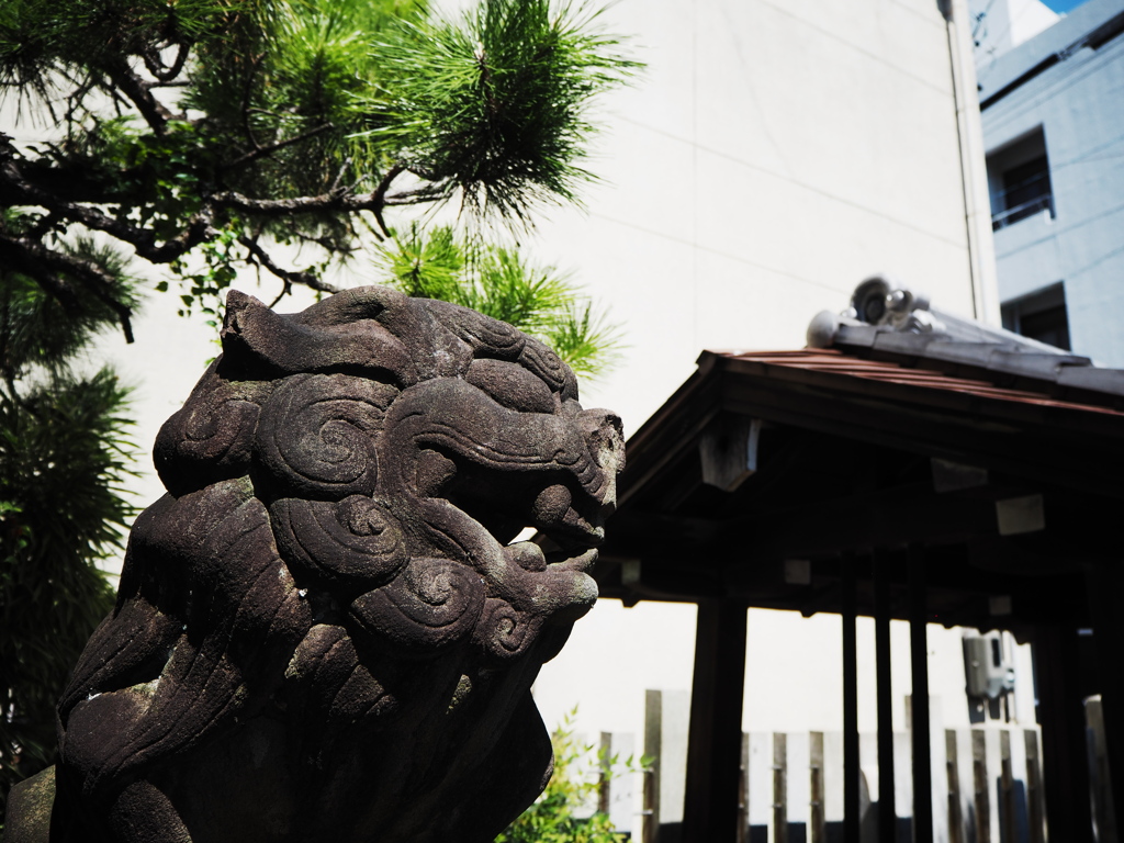 大垣　秋葉神社