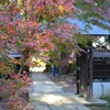 すすき紅葉