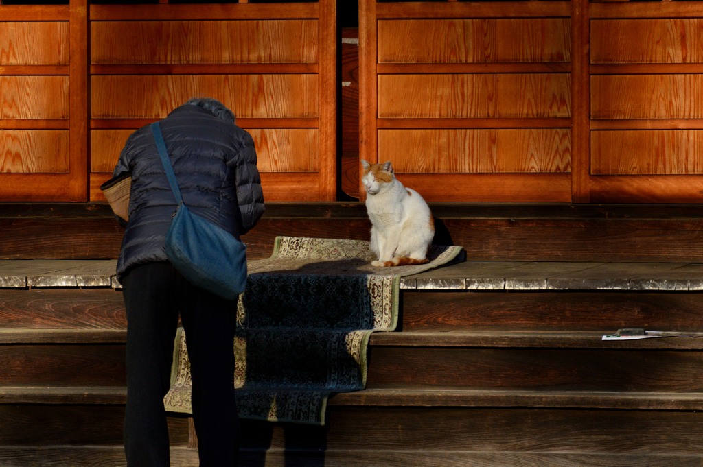 猫神様