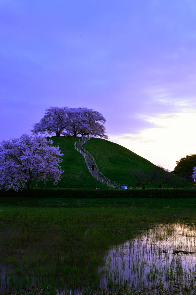 夕暮