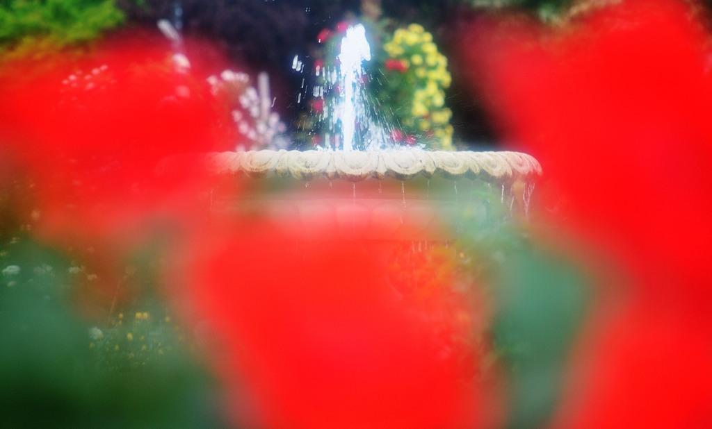 薔薇園噴水