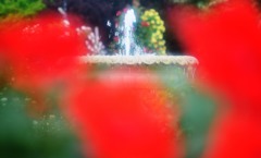 薔薇園噴水