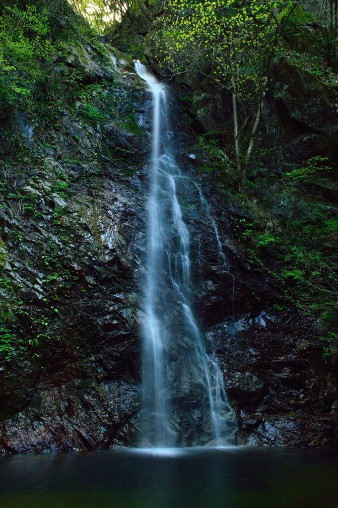 払沢の滝１