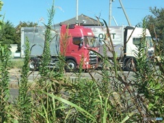 トラック2台　荷台1台