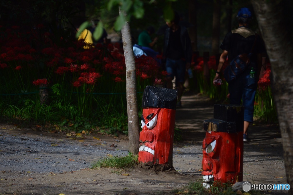 0C747A3D-60F1-4807-BAD9-DE58B5FCF25B