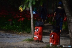 0C747A3D-60F1-4807-BAD9-DE58B5FCF25B