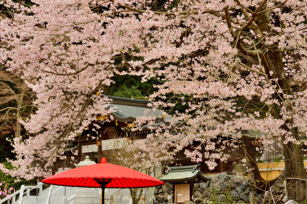 高麗神社