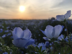 嫉妬
