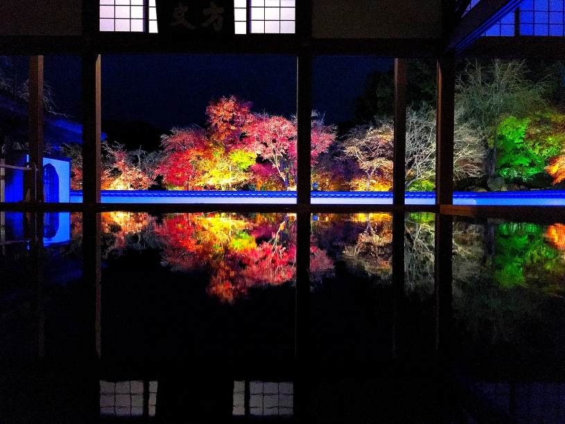 床もみじ　報徳寺