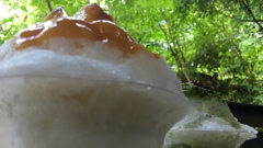 夏の終わりの抹茶スペシャル