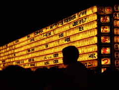 父の背に乗って