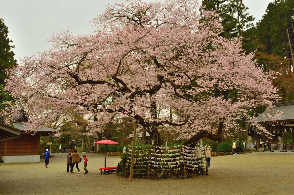 高麗神社