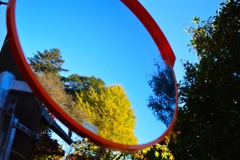 ミラー紅葉