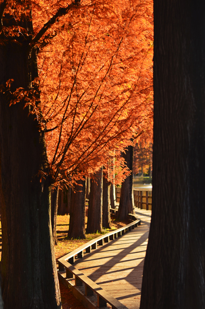 歩道