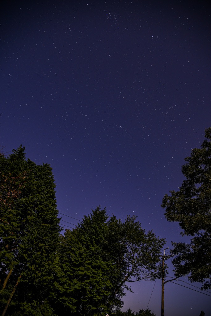 神野山の星空