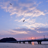 夕景