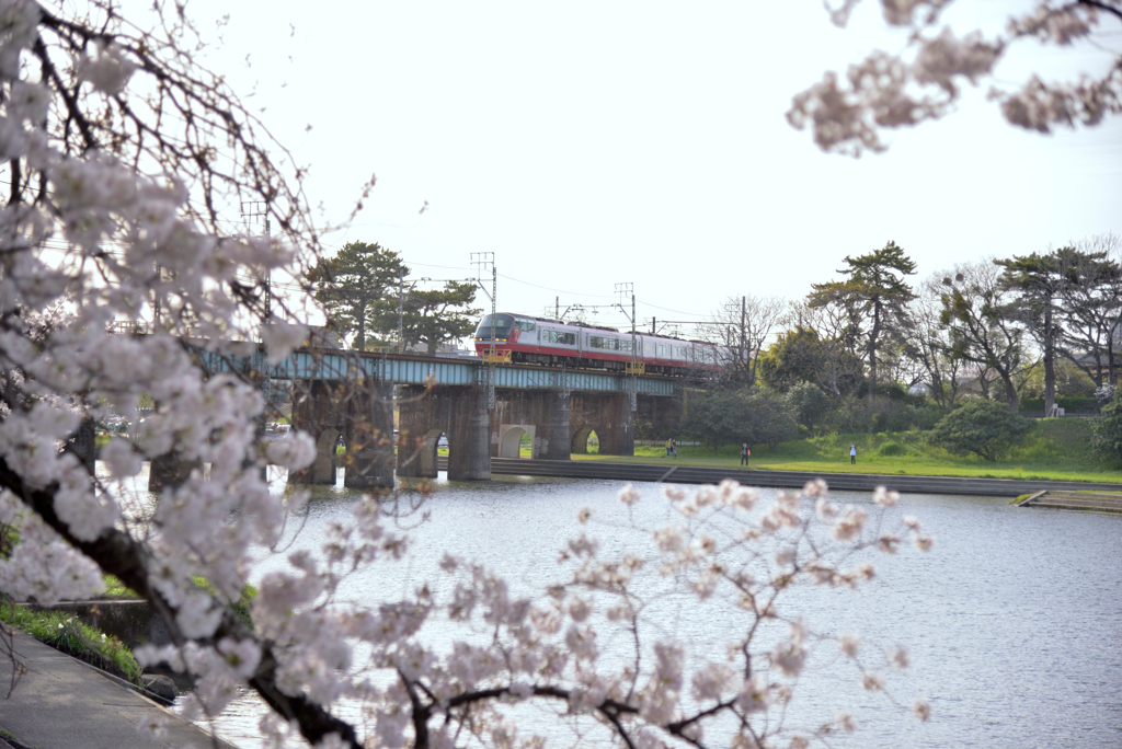 さくら×電車