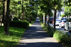 帰路の宇治