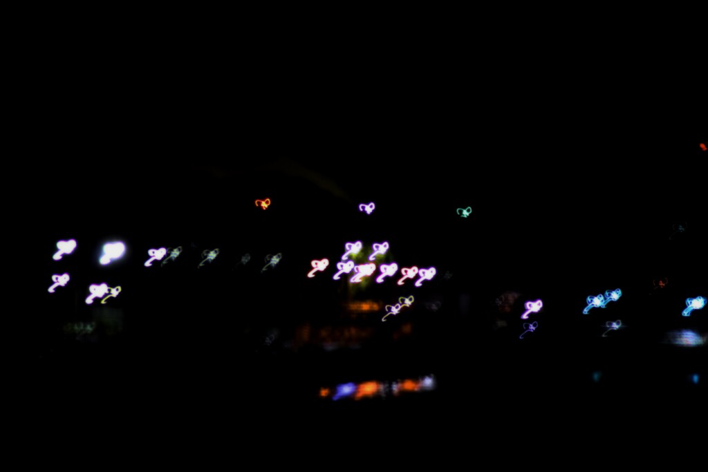 羽ばたく恋の予感…!!