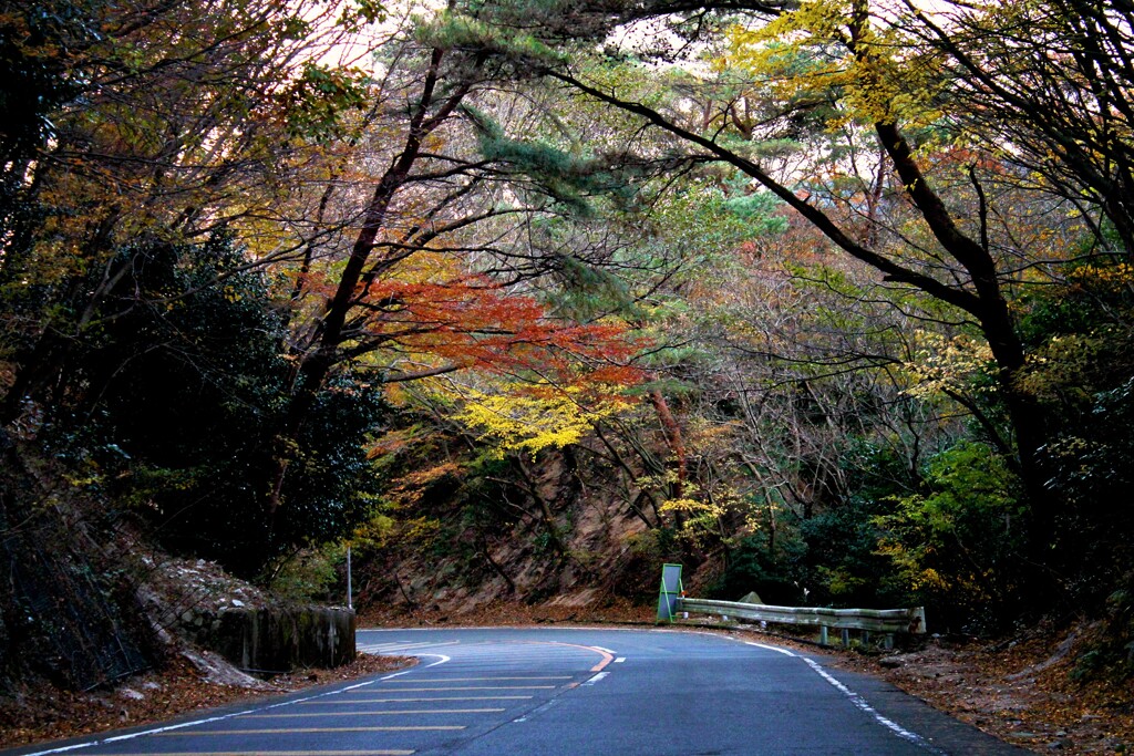 紅葉街道