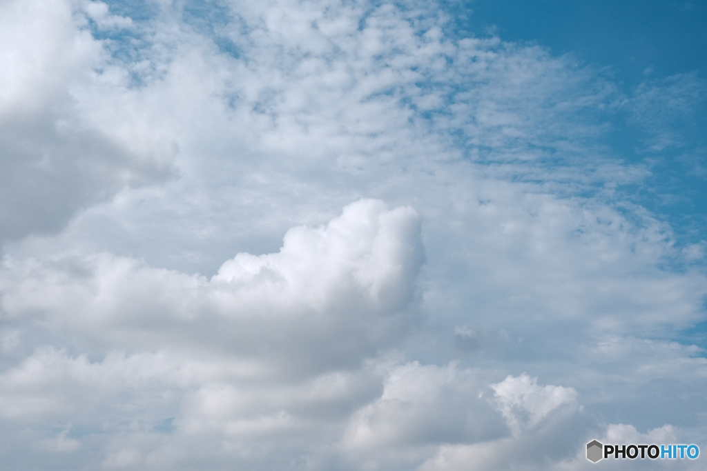 夏の雲