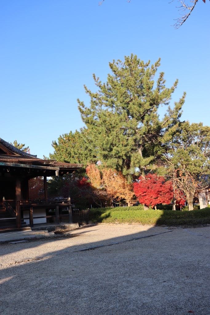 秋の法隆寺