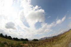 のどかなロップリの風景