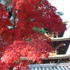 法隆寺の紅葉