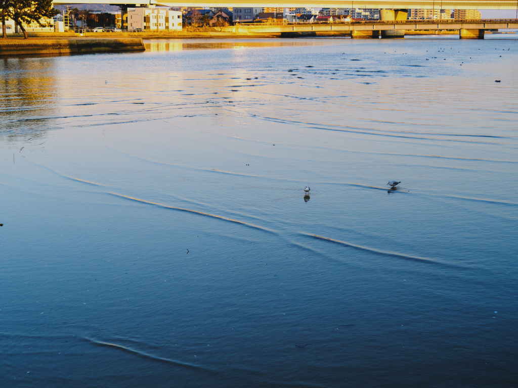 Early rising river scenery