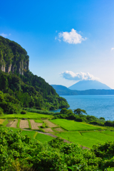 Rice terraces