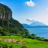 Rice terraces