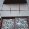 Collector